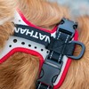 Nathan Dog Harness. Teaching Attachment/No Pull/Reflective/Lift Handle. for Running or