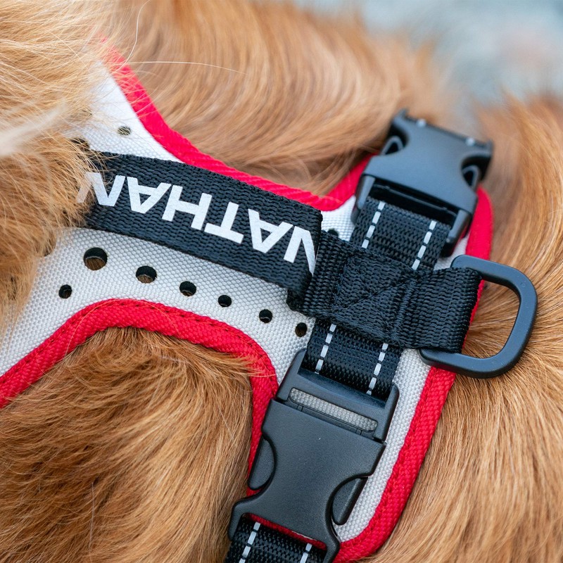 Nathan Dog Harness. Teaching Attachment/No Pull/Reflective/Lift Handle. for Running or