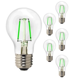 Diodesy A19 LED Green Decorative Vintage Style Filament Light Bulb 4W E26 Medium Base 110 Lumens 120V 25000 Average Life Hours Clear Glass Finish Pack of 6