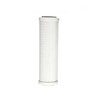 Pentair OMNIFilter CB1 Carbon Water Filter, 10-Inch, Under Sink Carbon