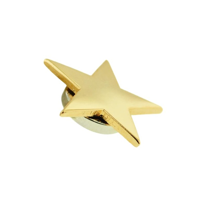 PinMart's Gold Star Pin Magnetic Back