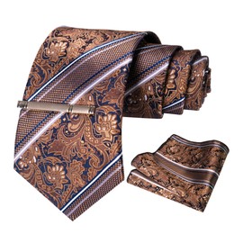 RBOCOTT Brown Stripe Tie Necktie and Pocket Square with Tie Clip Sets for men Party Wedding and Business