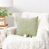 CaliTime Cushion Covers Pack of 2 Cozy Throw Pillow Covers