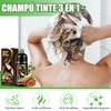 Shampoo para Canas, Hair Dye Shampoo 3 en 1 de
