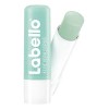 Bálsamo Labial Exfoliante Labello Aloe Vera En Scrub 4.8 G