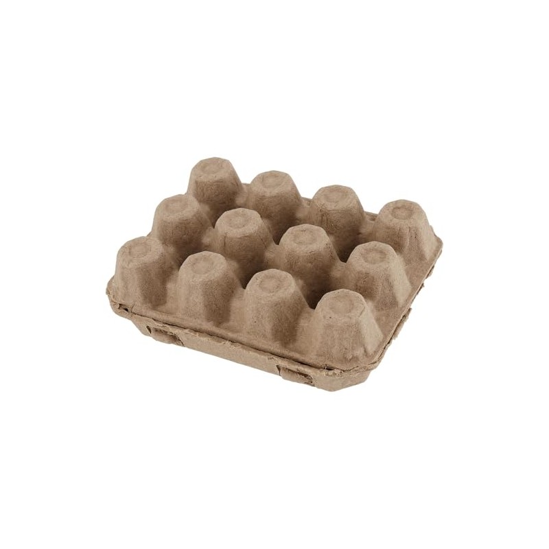 ARTKKAKU Quail Egg Paper Cartons, 20 Pack, Storage Container