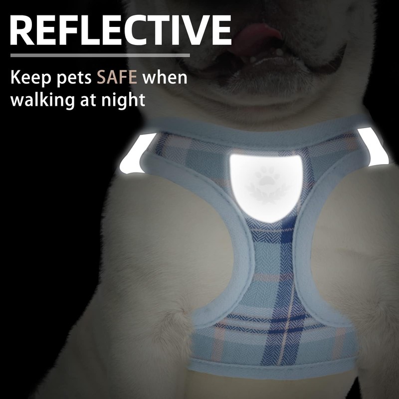 PUPTECK Adjustable Dog Harness Collar and Leash Set Step in