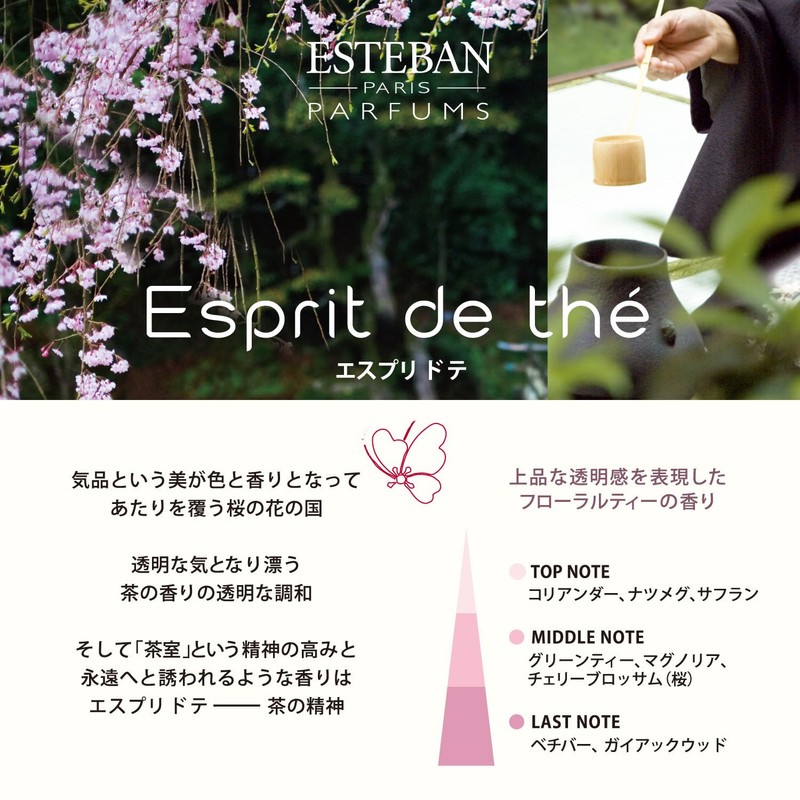 エステバン(ESTEBAN) エスプリ ド テ スティック 40本入
