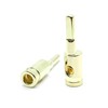 AVANKI Terminal Connector Brass with Gold Plated 8 to 8