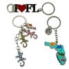 TSY TOOL 12 Pack of Florida State Keychain Metal Ring,
