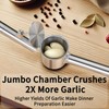 5-in-1 Stainless Steel Garlic Press Set with Jumbo Chamber &