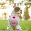 PUPTECK Dog Harness and Leash Set for Small Medium Dogs