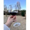 BubbleWally Floating Wine Glasses for Pool (18 Oz | Set