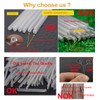 Preshrunk OD2.5mm Fiber Optic Fusion Splice Protection Sleeves 45mm Clear,