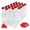 Hot Sauce Bottles with Red Caps & Shrink Bands, 5