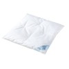 Julius Zöllner 4810120000 Child's Duvet Half-Down Stuffing 400 g 80