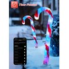 Brightown Smart Candy Cane Lights Outdoor Pathway, 6 Packs RGB