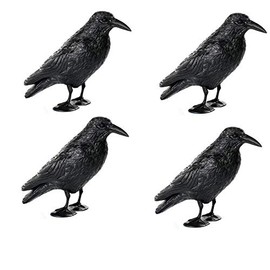 Hillfield 4 x Raven Bird Deterrent