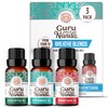 GuruNanda Breathe Essential Oil Set (Pack of 3 x 0.34