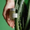 Kim Jeong-mun Aloe [내일도착] 김정문알로에 큐어 안티에이징 크림S 50g 2개