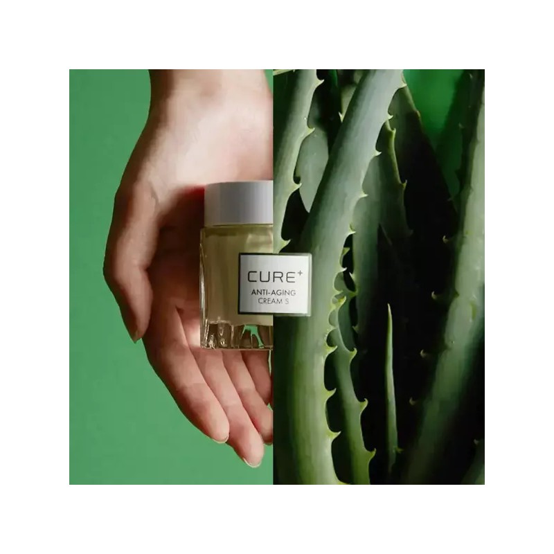 Kim Jeong-mun Aloe [내일도착] 김정문알로에 큐어 안티에이징 크림S 50g 2개