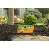 Miracle-Gro Fertilizer Spikes for Fruit and Citrus Trees, 12-Pack (Not