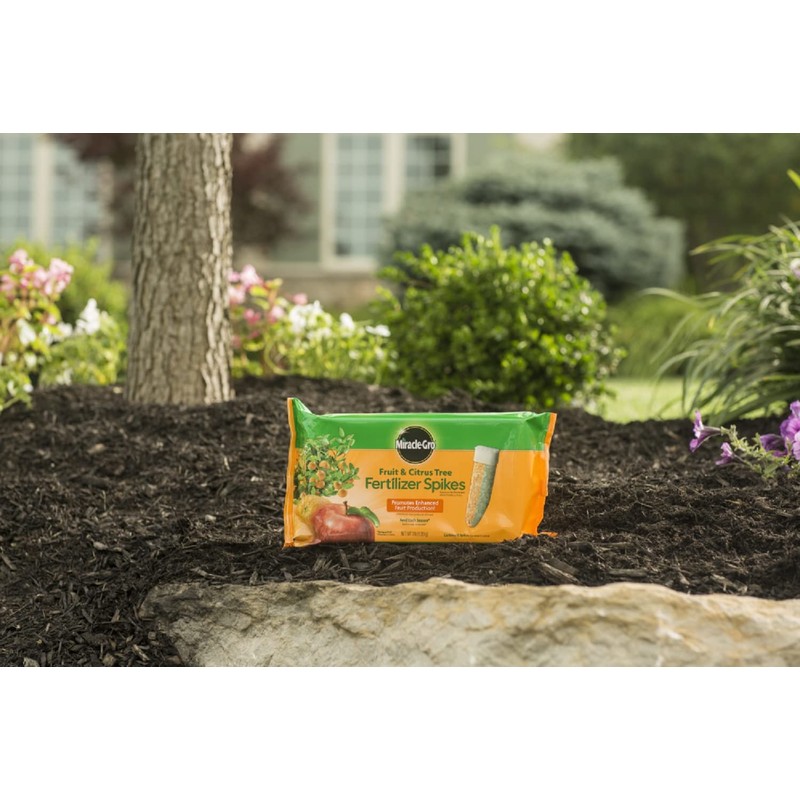 Miracle-Gro Fertilizer Spikes for Fruit and Citrus Trees, 12-Pack (Not