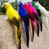 TEAMWILL 6PACK 10inch 25cm Lifelike Artificial Birds Feathered Fake Shoulder
