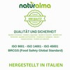 Horse Chestnut (Aesculus hippocastanum) Seeds Alcohol-Free Mother Tincture Naturalma -