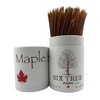 Six Tree Farm Maple Saplings, Pure State of Vermont Maple