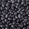 Southeast Seeds Black Turtle Bean Seeds, NON-GMO, Shelling Dry Bean,
