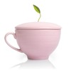 Tea Forte Jardin 3-Piece Premium Tea Gift Set with Rose