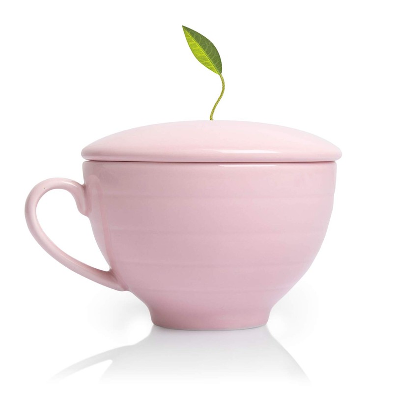 Tea Forte Jardin 3-Piece Premium Tea Gift Set with Rose