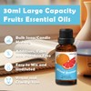 Holamay Fruit Essential Oils for Diffusers for Home, Fragrance Oil
