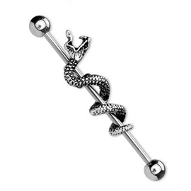 eeddoo Silver Stainless Steel Industrial Snake Bar, Stainless Steel, without stone