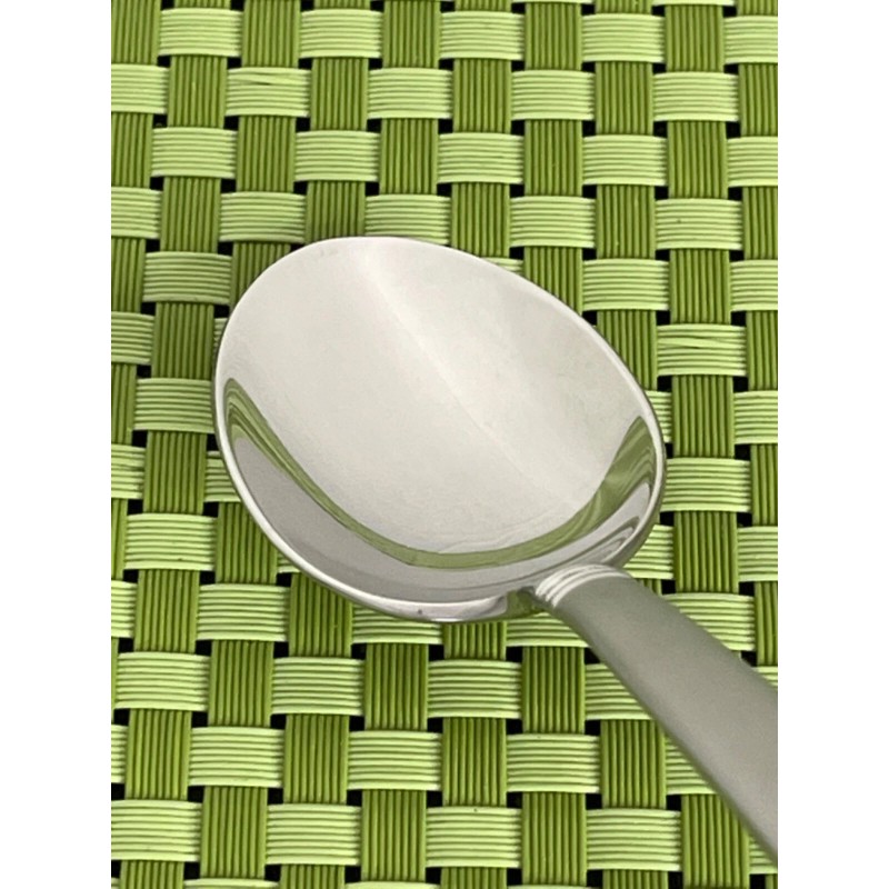 Waterford CARINA MATTE Stainless Teaspoon 18/10 Frosted Korea NEW Flatware