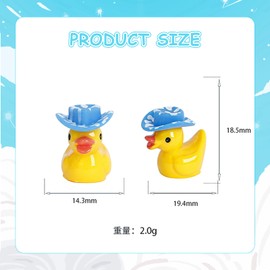 48pc Cowboy Ducks Mini 12 Styles Western Mini Resin Ducks Ornaments
