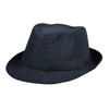 Dorfman Pacific Plaid Fedora Hat (L/XL) Grey