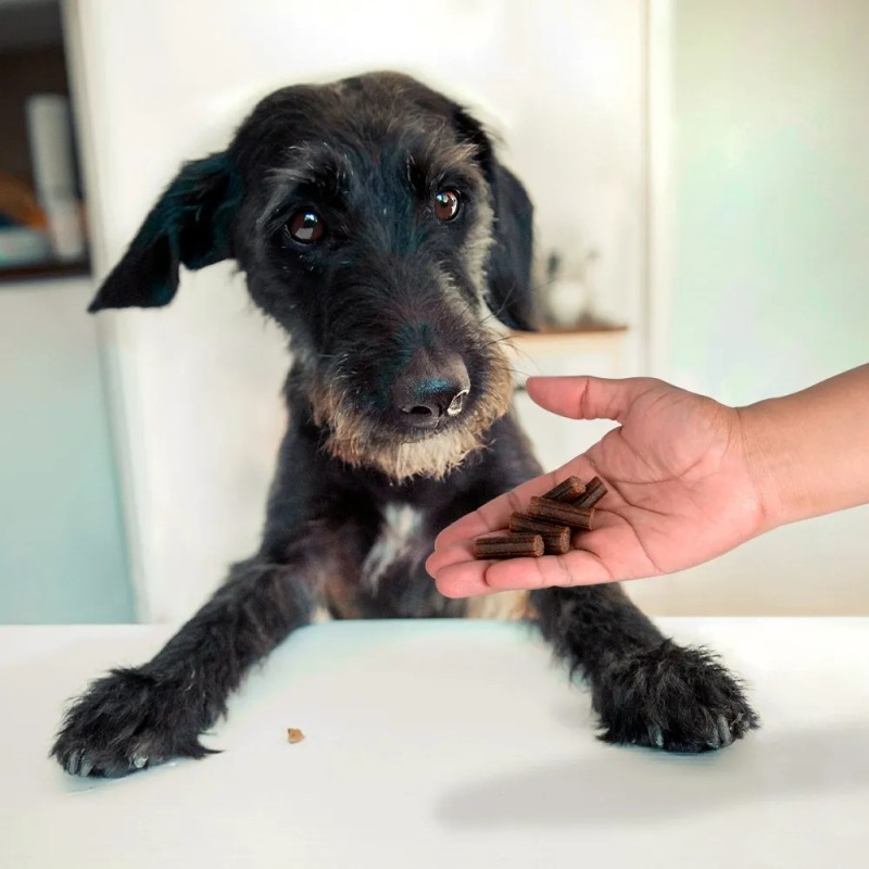 Yummy Bites Pollo/tocino 80 Gr Fancy Pets