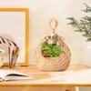 Pack of 2 Hanging Fruit Baskets, Braided Hanging Basket Kitchen