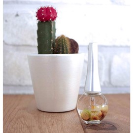 Belinda(ベリンダ) Belinda Cuticle Oil 柔らかなピーチの香り 12ml