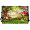 MEHOFOTO Photo Backgroud Cartoon Fairy Tale Birthday Party Decoration Backdrops