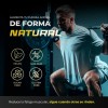 Citrato De Magnesio Y Potasio Creatina Monohidratada Energa, Anticalambres, Salud