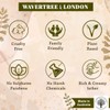 Wavertree & London Assorted Fabulous Florals (8 Bars), 7oz Moisturizing