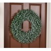 Wicker Park 24" Indoor/Outdoor Boxwood Wreath:_Lilac