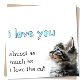 Funny Cat Birthday Card Or Anniversary Card For Partner - I Love You Almost As Much As I Love The Cat - Valentines Card For Cat Lovers, Husband, Wife, Boyfriend, Girlfriend