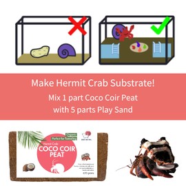 Coco Coir Peat Hermit Crab Substrate Bedding 1.4 lbs - 650 Grams - 3 Pack by Snout and Shell