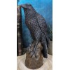 Ebros Gift Gothic Raven Statue Crow Scavenger Bird Perching On