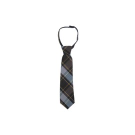 French Toast Boys' Adjustable Tie, Blue & Gold Plaid, 14-20