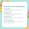 Pure Synergy Enzyme Power Digestive & Gut Health 90 Capsules